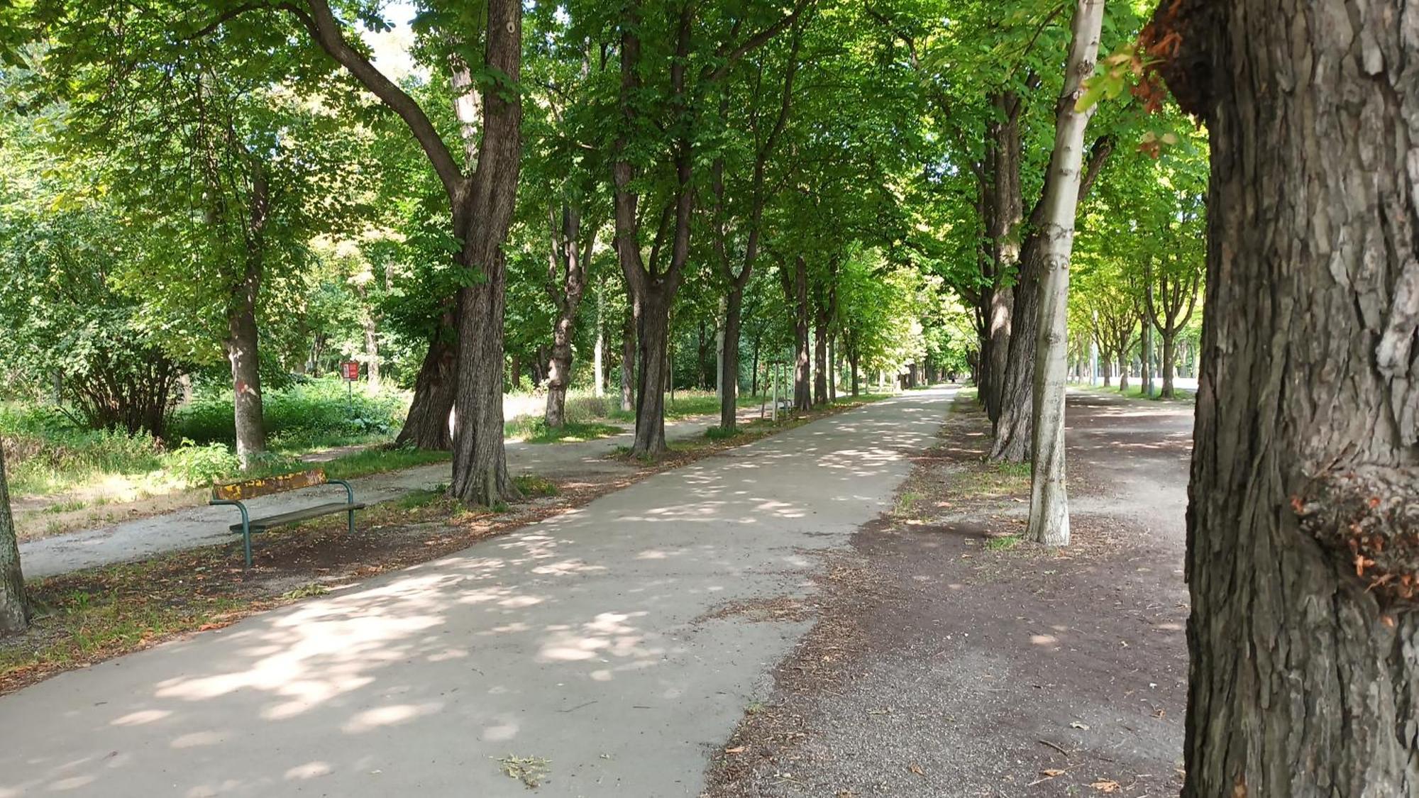 D57 - Appartments Park - Ubahn فيينا المظهر الخارجي الصورة